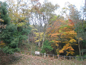daishiyama2